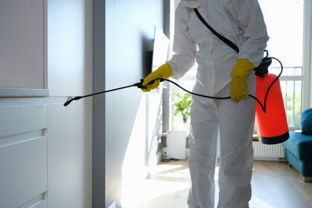 Best Residential Mold Removal  in Hawaiian Ocean View, HI